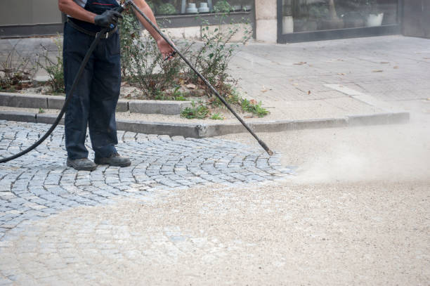 Best Roof Cleaning and Mildew Removal in Rainbow, CA